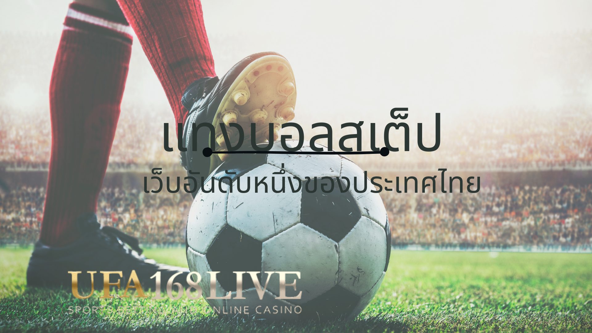 การ แทงบอลสเต็ป ผ่านเว็บแทงบอลอันดับหนึ่งของไทย